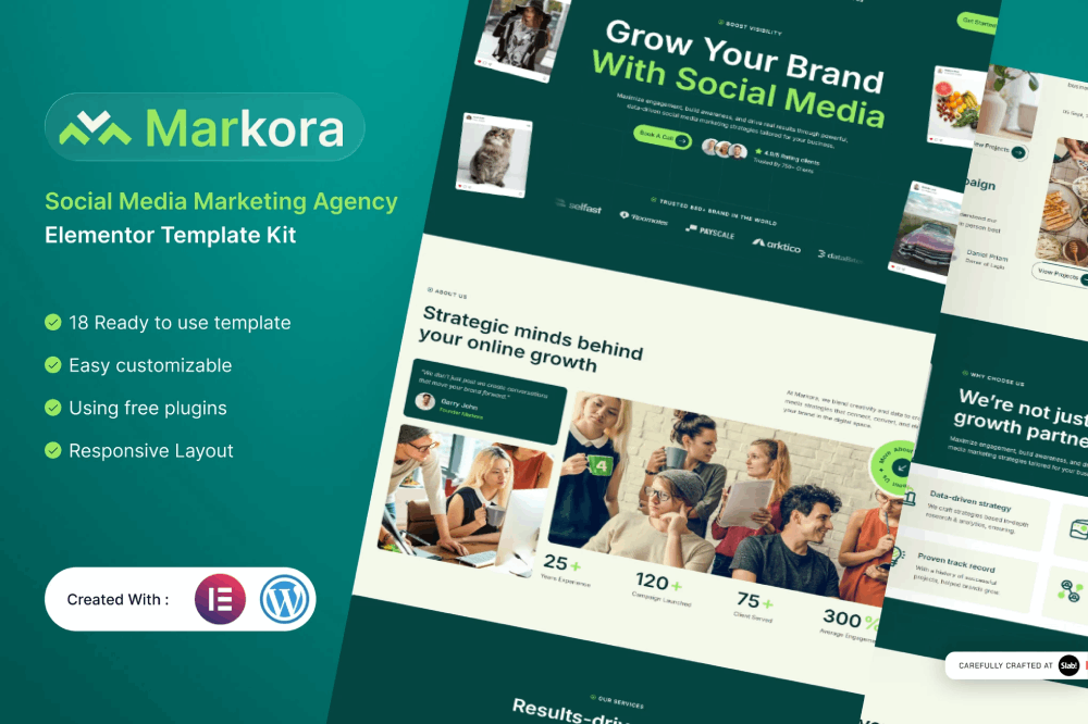 Social Media Marketing Agency Elementor Template
